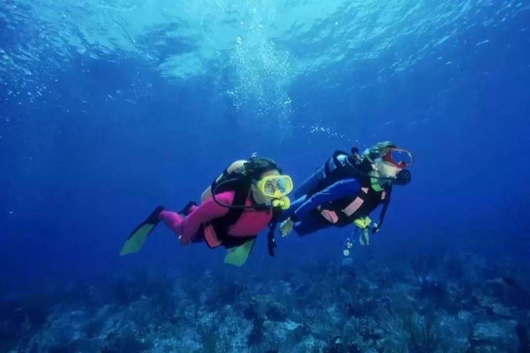 恶魔的睡眠