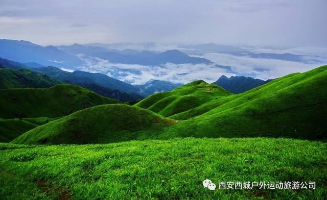 萌宠大连接